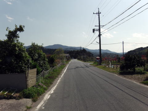 参拝・歩行記録の写真