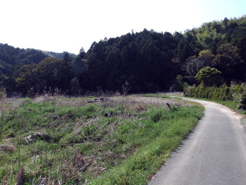 参拝・歩行記録の写真