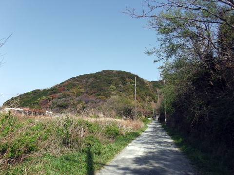 参拝・歩行記録の写真