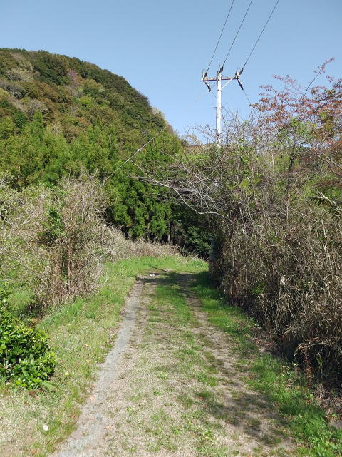 参拝・歩行記録の写真