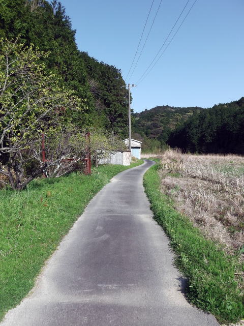 参拝・歩行記録の写真