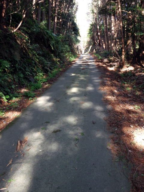 参拝・歩行記録の写真
