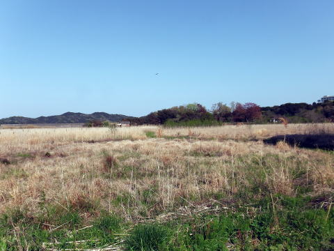 参拝・歩行記録の写真