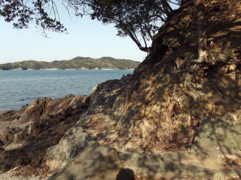 参拝・歩行記録の写真