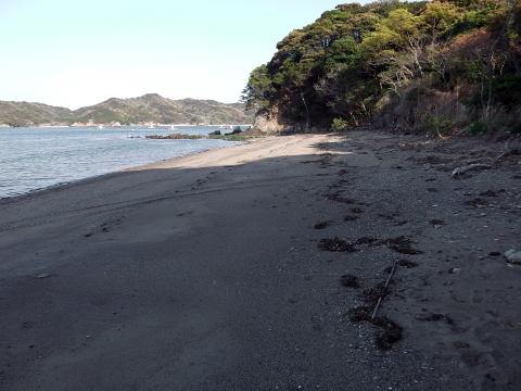 参拝・歩行記録の写真