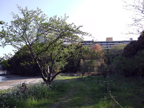 参拝・歩行記録の写真