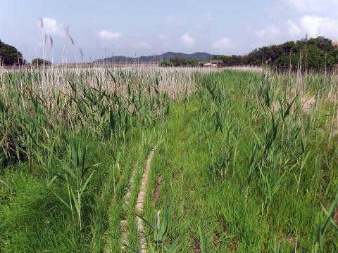 参拝・歩行記録の写真