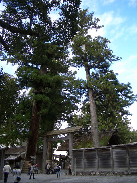 参拝・歩行記録の写真