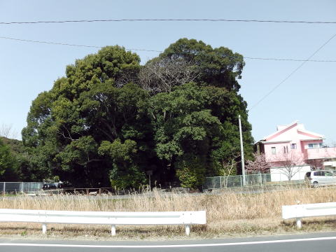 参拝・歩行記録の写真