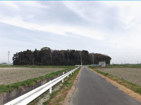 参拝・歩行記録の写真