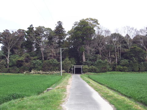 参拝・歩行記録の写真