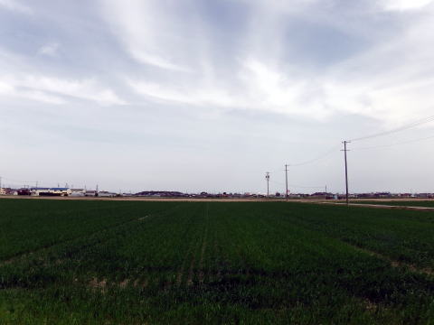 参拝・歩行記録の写真