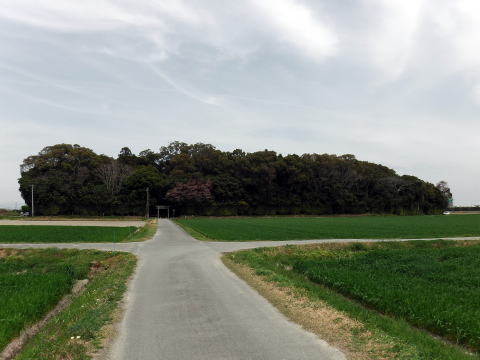 参拝・歩行記録の写真