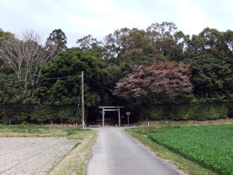 参拝・歩行記録の写真