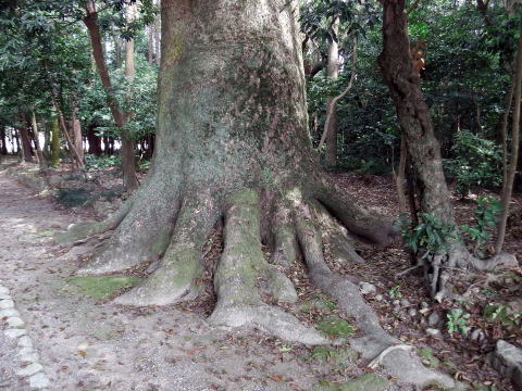参拝・歩行記録の写真