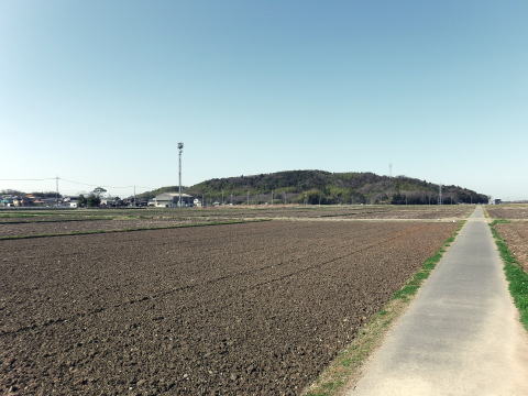 参拝・歩行記録の写真