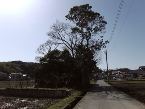 参拝・歩行記録の写真