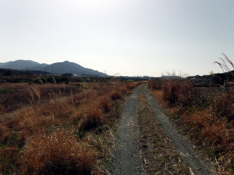 参拝・歩行記録の写真