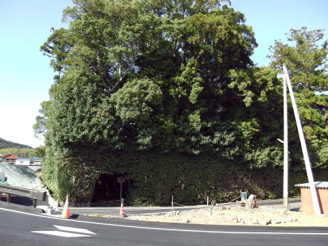 参拝・歩行記録の写真