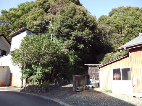 参拝・歩行記録の写真