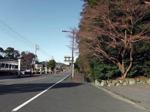 参拝・歩行記録の写真