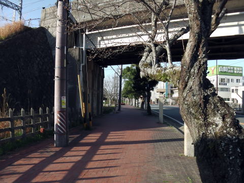 参拝・歩行記録の写真