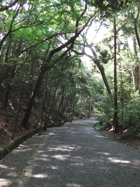 参拝・歩行記録の写真