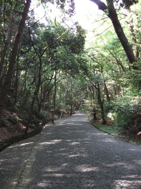 参拝・歩行記録の写真