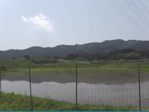 参拝・歩行記録の写真