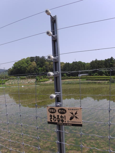 参拝・歩行記録の写真