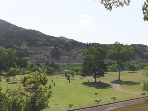 参拝・歩行記録の写真