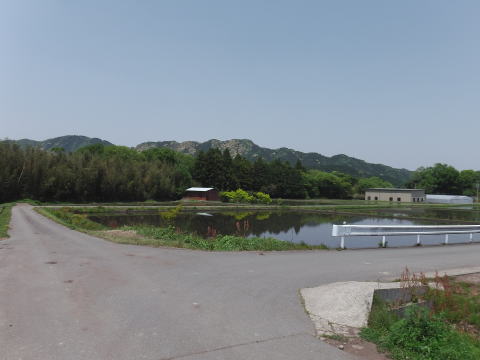 参拝・歩行記録の写真