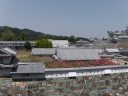 参拝・歩行記録の写真