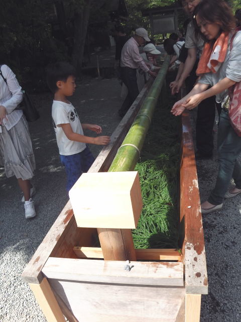 参拝・歩行記録の写真