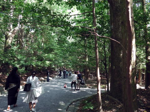 参拝・歩行記録の写真