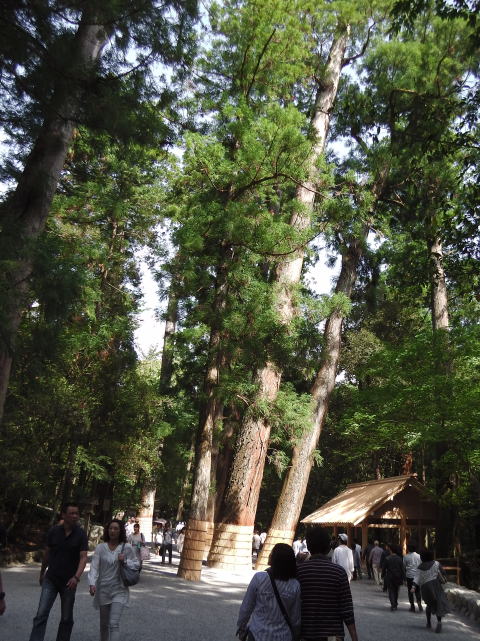 参拝・歩行記録の写真
