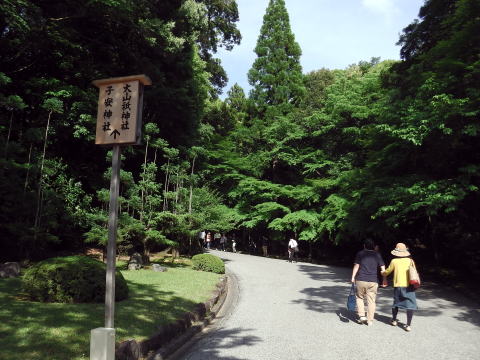 参拝・歩行記録の写真