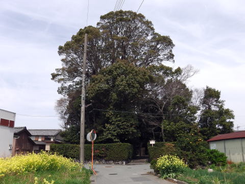 参拝・歩行記録の写真