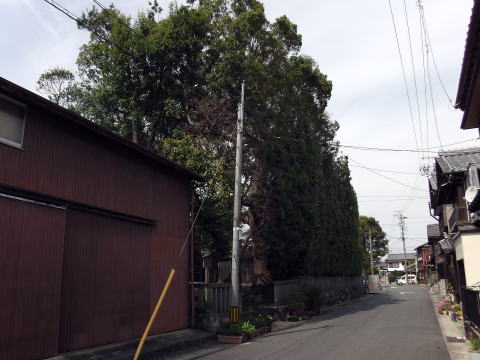 参拝・歩行記録の写真