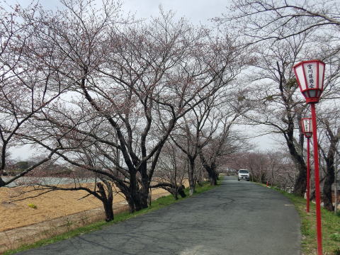 参拝・歩行記録の写真