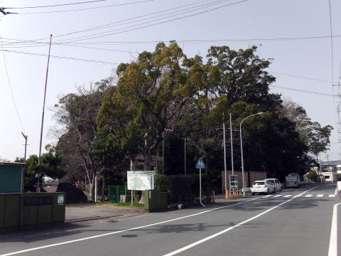 参拝・歩行記録の写真