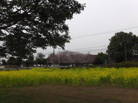 参拝・歩行記録の写真