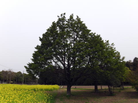 参拝・歩行記録の写真