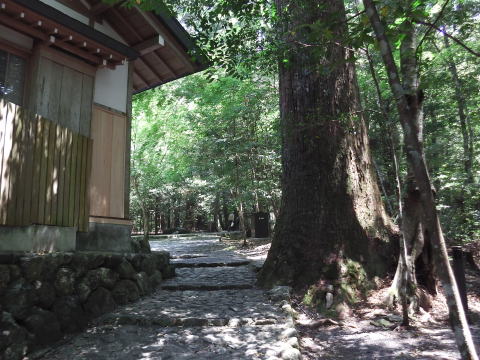 参拝・歩行記録の写真