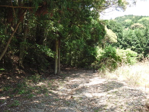 参拝・歩行記録の写真