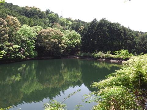 参拝・歩行記録の写真