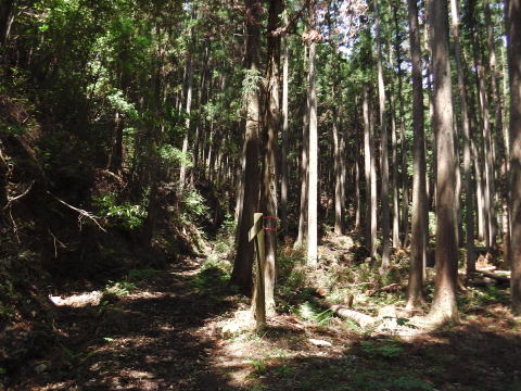 参拝・歩行記録の写真