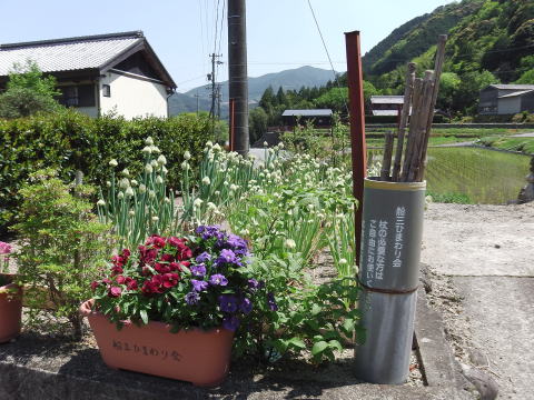 参拝・歩行記録の写真