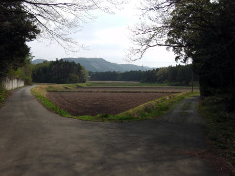 参拝・歩行記録の写真