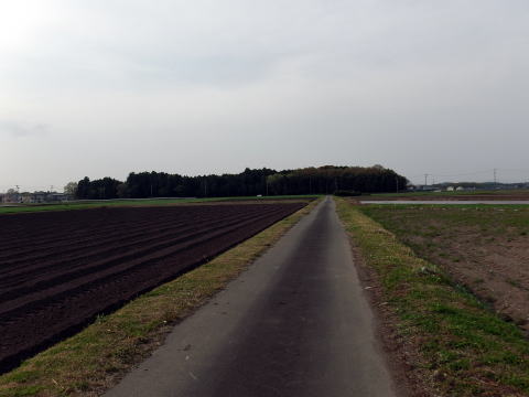 参拝・歩行記録の写真